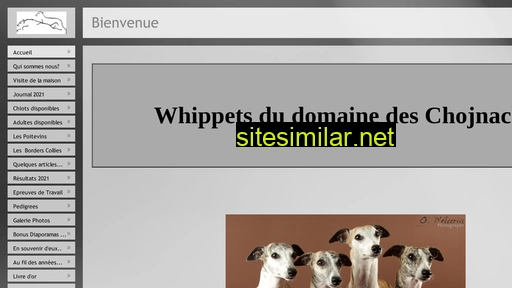 whippets-chojnacki.fr alternative sites
