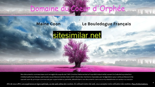 ducoeurdorphée.fr alternative sites