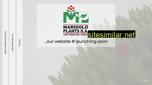 marigoldplants.gr alternative sites