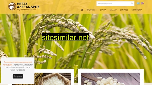 rice-megasalexandros.gr alternative sites