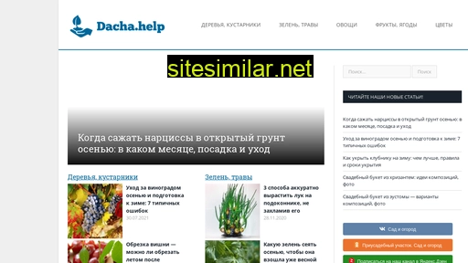 dacha.help alternative sites