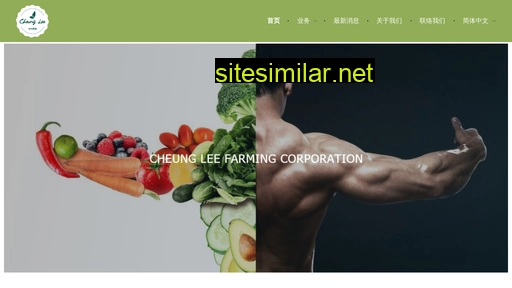 cheunglee.com.hk alternative sites