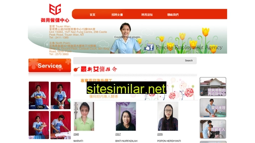 precisemaid.com.hk alternative sites