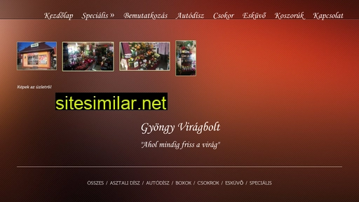 andivirag-vecses.hu alternative sites