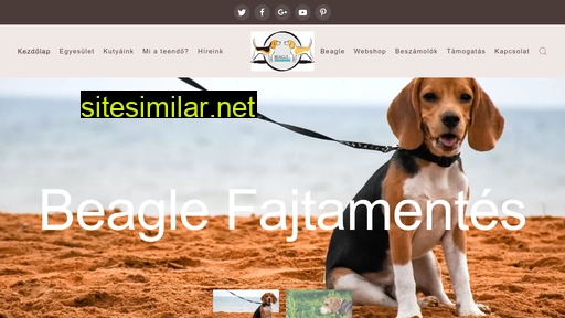 beagle-fajtamentes.hu alternative sites