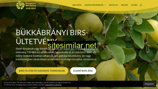birs.hu alternative sites