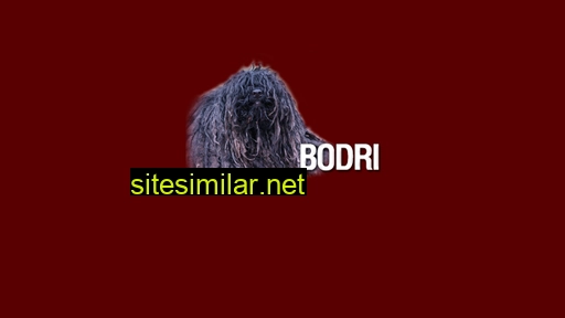 bodri.hu alternative sites