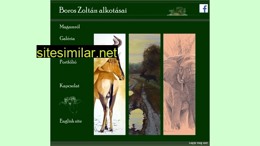 borosart.hu alternative sites