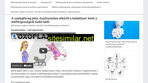 bravedogskutyaiskola.hu alternative sites