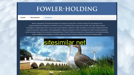 fowler-holding.hu alternative sites