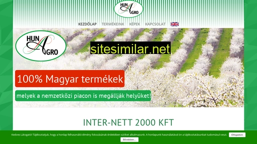 inter-nett2000kft.hu alternative sites