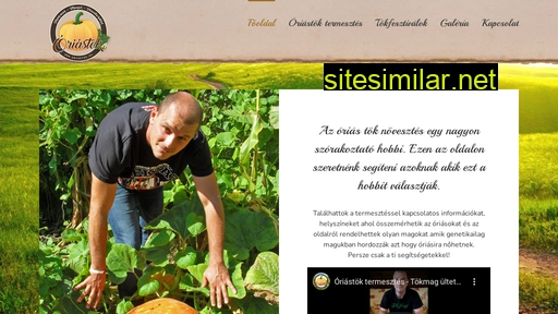 oriastok.hu alternative sites