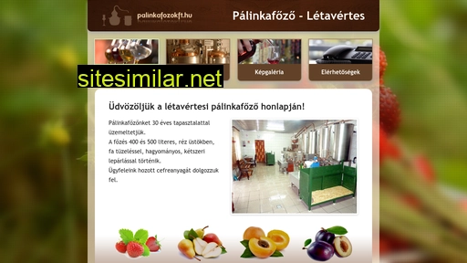 palinkafozokft.hu alternative sites