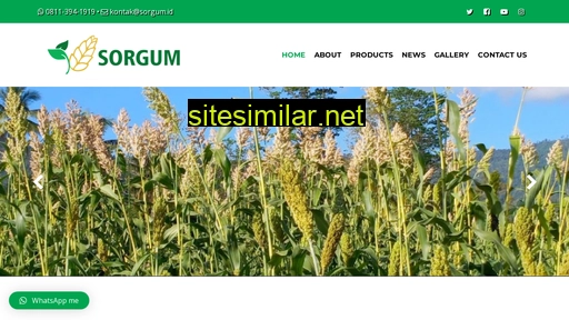 sorgum.id alternative sites