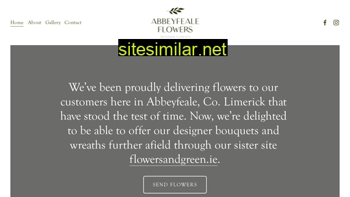 abbeyfealeflowers.ie alternative sites