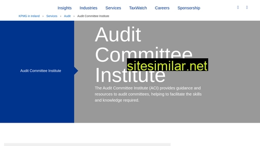 auditcommitteeinstitute.ie alternative sites