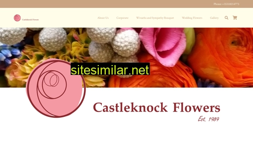 castleknockflowers.ie alternative sites