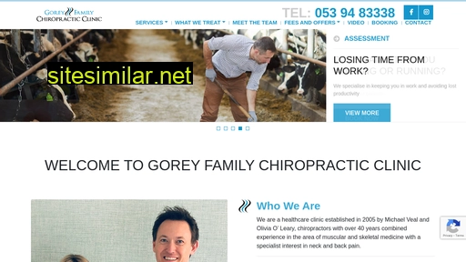 chiropractor.ie alternative sites