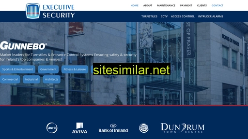 executivesecurity.ie alternative sites