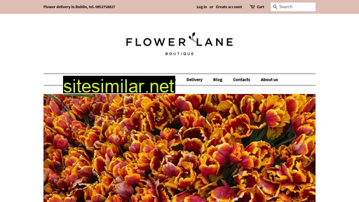 flowerlane.ie alternative sites