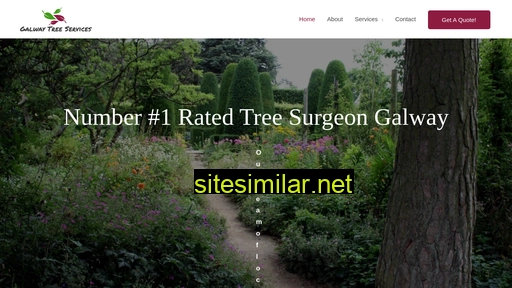 galwaytreeservices.ie alternative sites