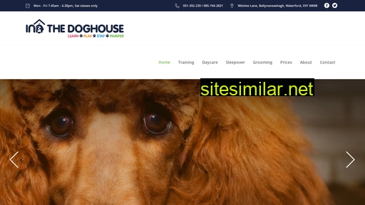 innthedoghouse.ie alternative sites