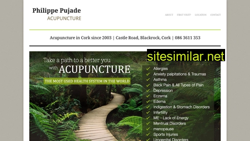 philippecorkacupuncture.ie alternative sites