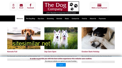 thedogcompany.ie alternative sites