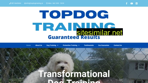 topdogtraining.ie alternative sites