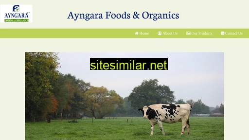 ayngara.in alternative sites