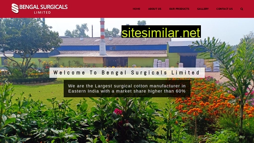Bengalsurgicals similar sites