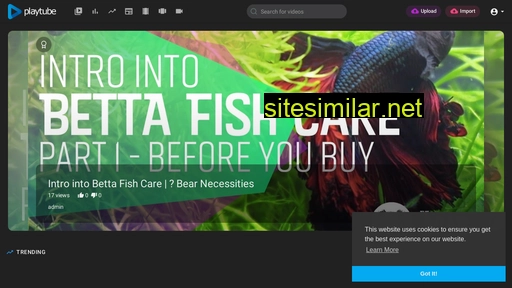 bettafish.in alternative sites