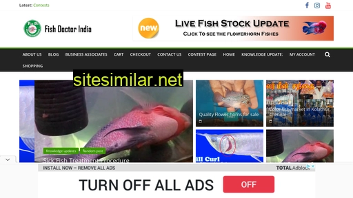 fishdoctorindia.in alternative sites
