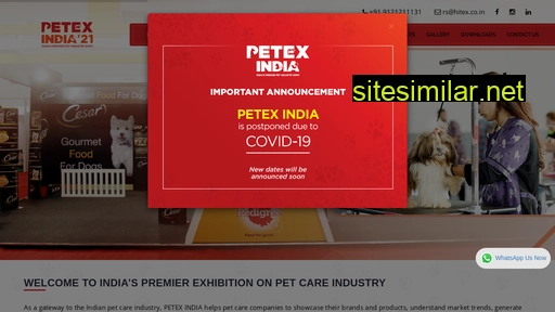 petex.in alternative sites