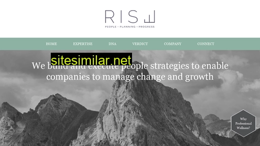 riseconsulting.co.in alternative sites