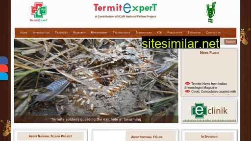 termitexpert.in alternative sites