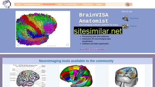 brainvisa.info alternative sites