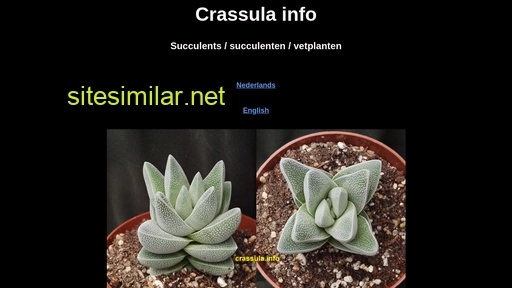 crassula.info alternative sites