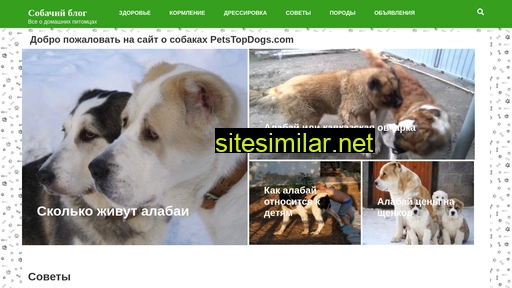 petstopdog.info alternative sites