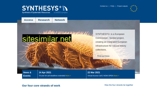 Synthesys similar sites