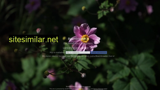bloembraaden.io alternative sites