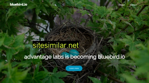 bluebird.io alternative sites