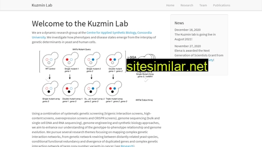 kuzmin-lab.github.io alternative sites