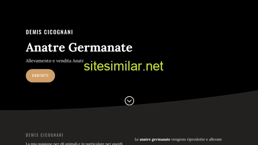 demiscicognani.it alternative sites