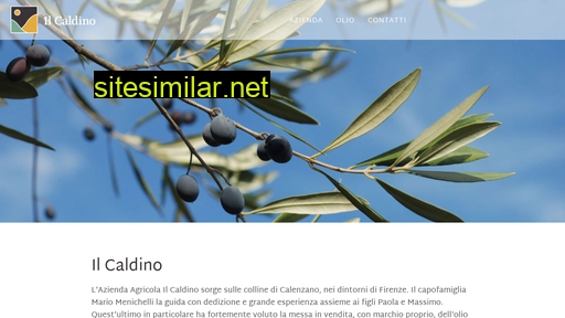 ilcaldino.it alternative sites