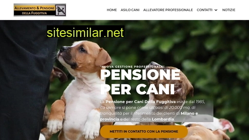 Pensione-cani similar sites