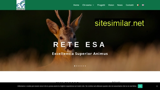 reteesa.it alternative sites