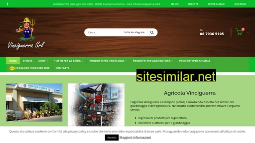 vinciguerra-srl.it alternative sites