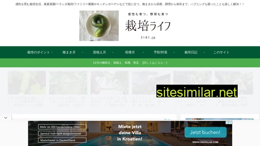 3181.jp alternative sites