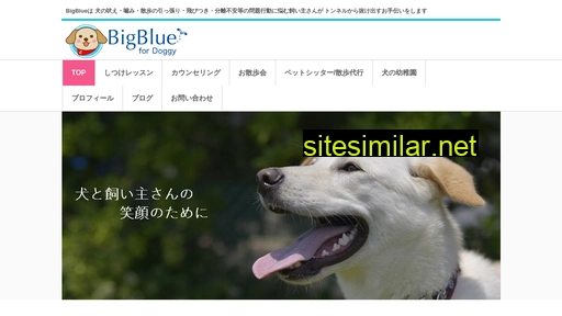 bigblue.jp alternative sites